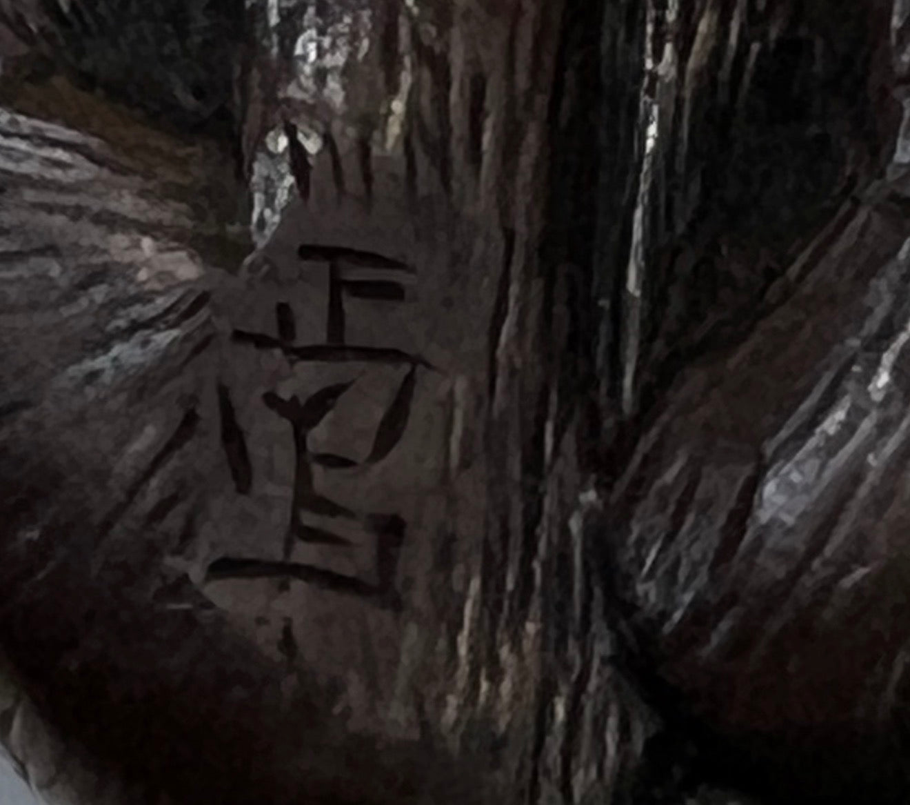 A Japanese Wood Netsuke of a Seated Puppy-Signed Masanao (正直)Japan, Late Edo to Early Meiji period,