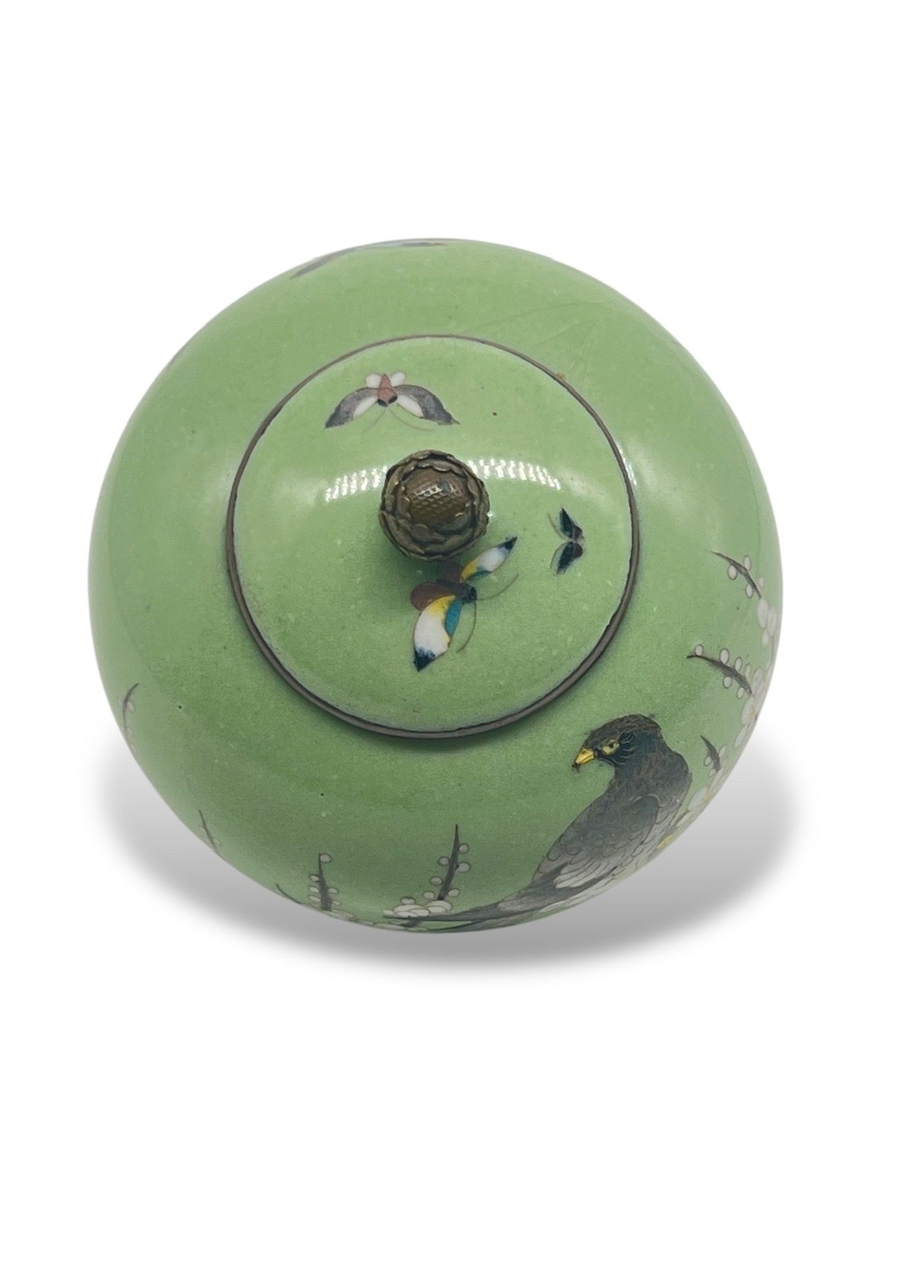 Japanese Cloisonné Koro with a Bird, butterflies and Floral Motif
Meiji Period