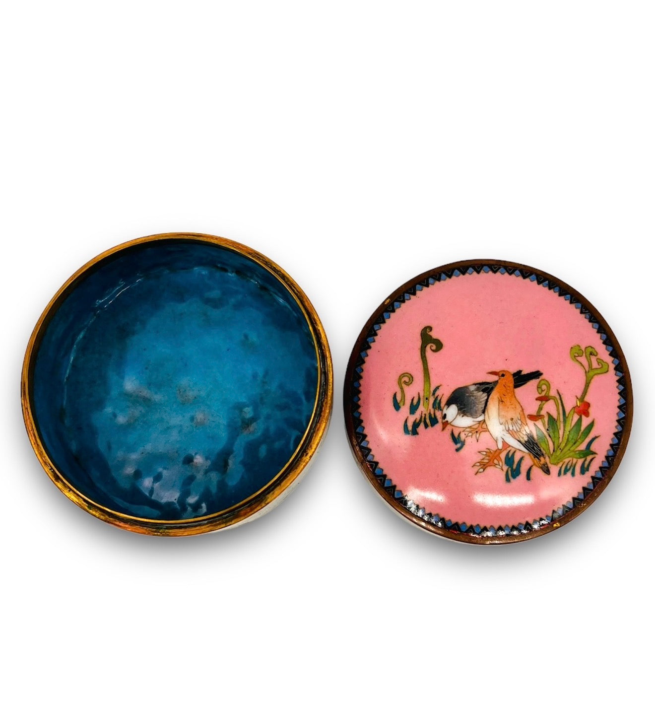 A fine Japanese cloisonne enamel box and cover.Meiji period.