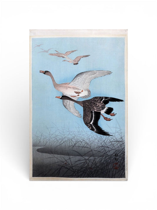 A Japanese Woodblock Print by Ohara Koson, Geese in Flight over Reeds, c.1930