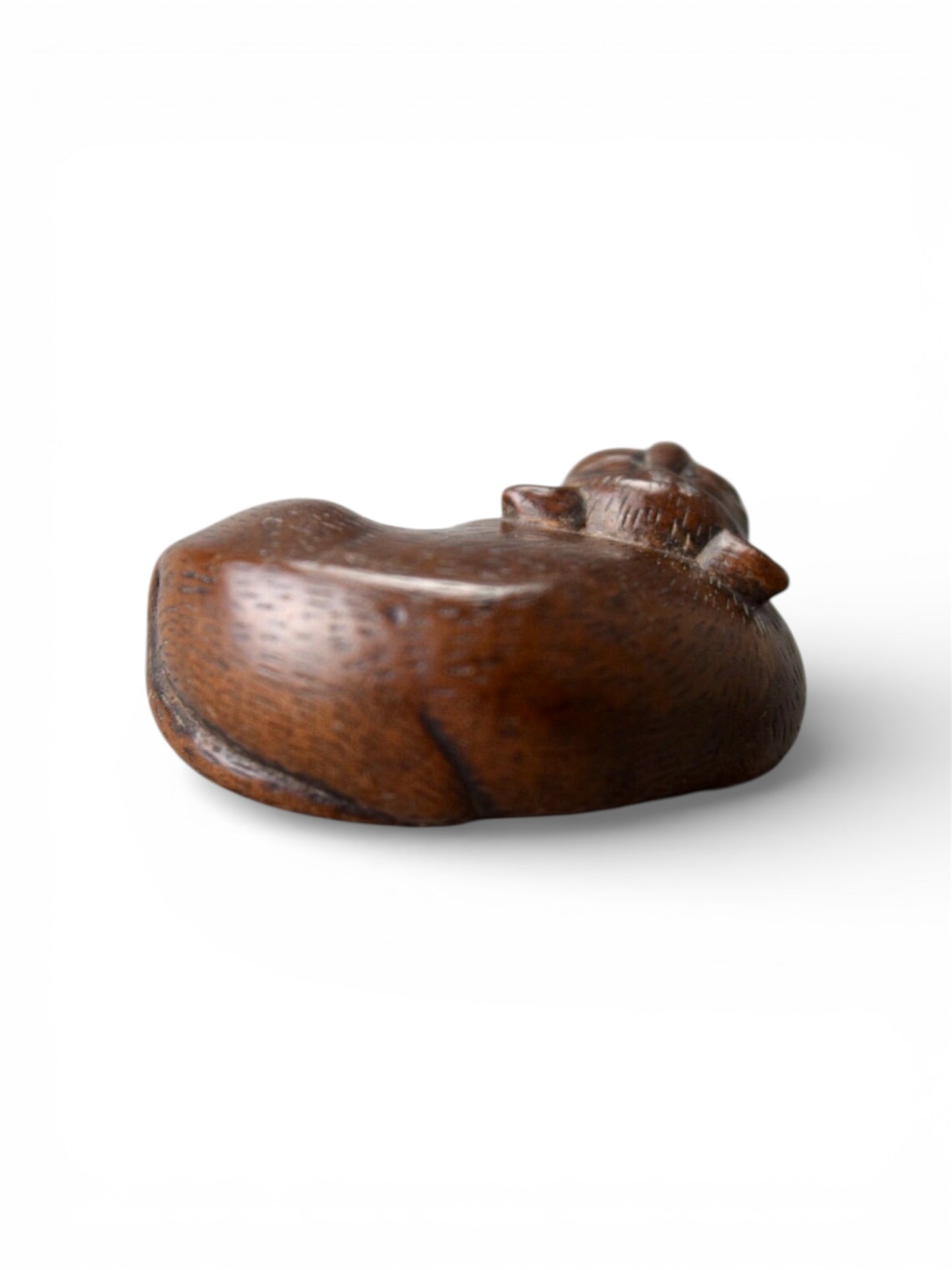 A Japanese wood netsuke of a sleeping cat, Edo period