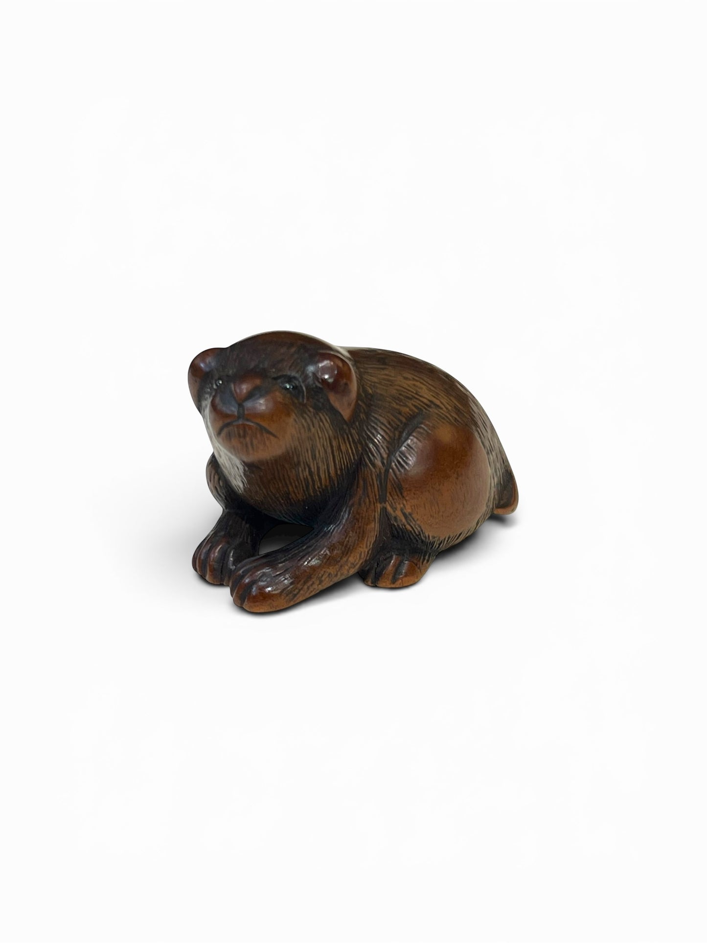 A Japanese Wood Netsuke of a Seated Puppy-Signed Masanao (正直)Japan, Late Edo to Early Meiji period,