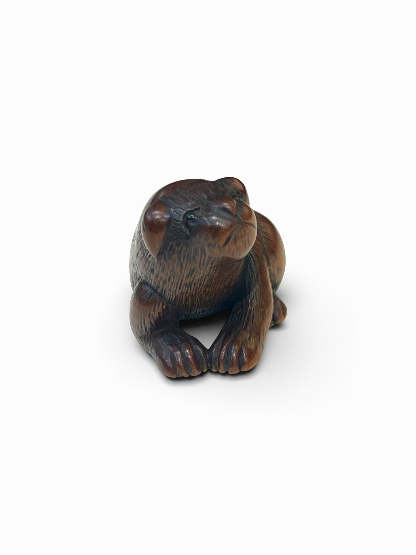 A Japanese Wood Netsuke of a Seated Puppy-Signed Masanao (正直)Japan, Late Edo to Early Meiji period,
