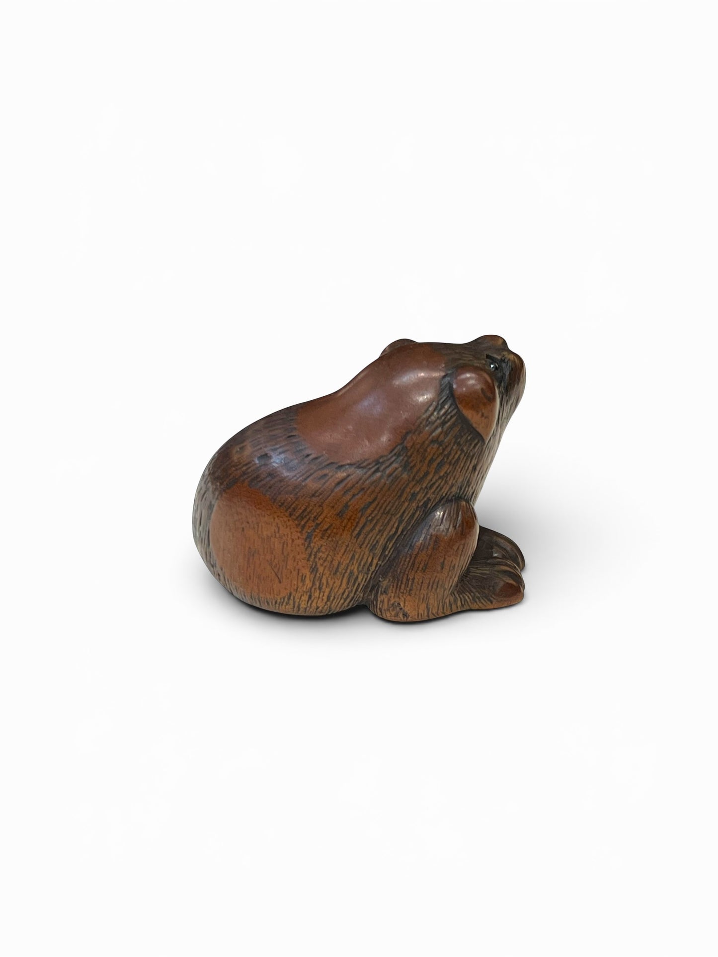 A Japanese Wood Netsuke of a Seated Puppy-Signed Masanao (正直)Japan, Late Edo to Early Meiji period,