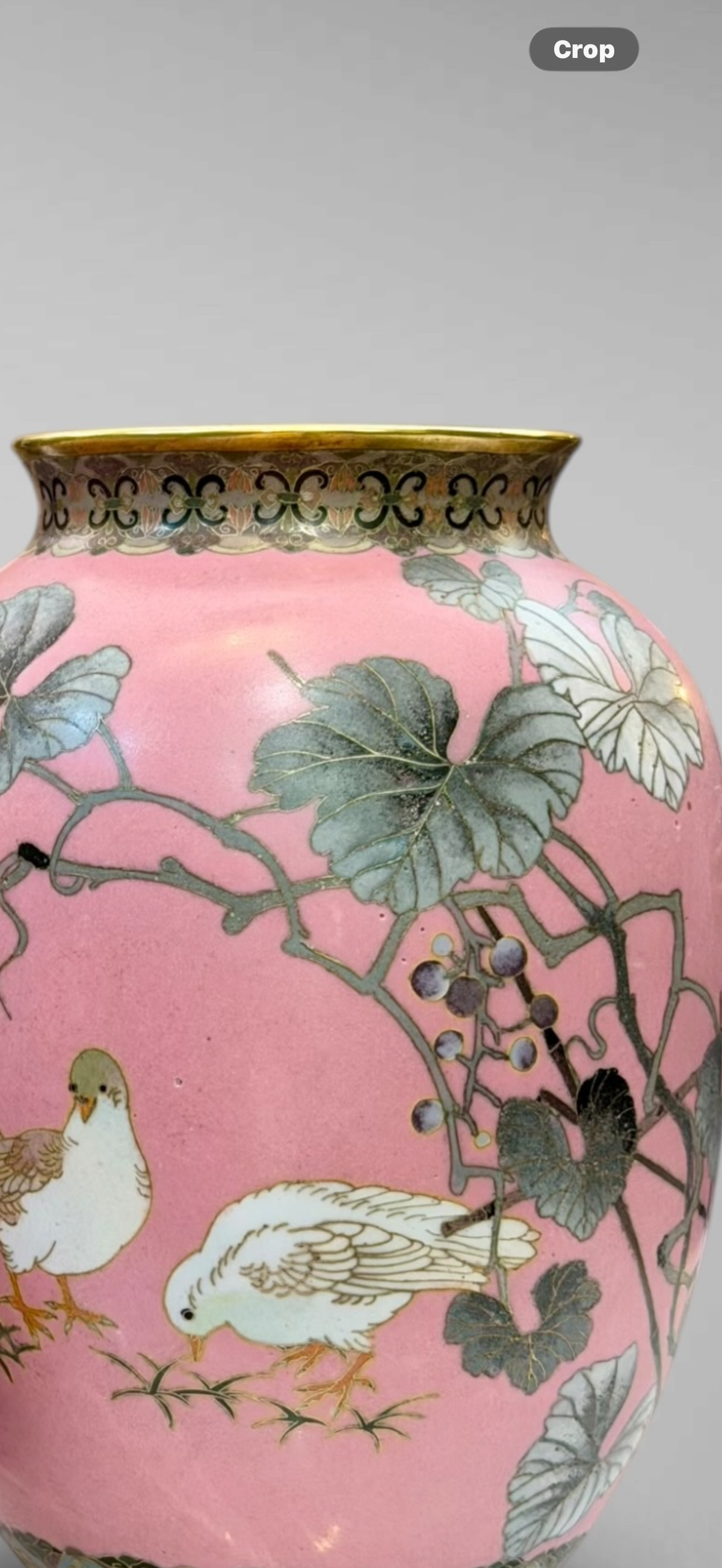 A FINE PAIR OF JAPANESE CLOISONNÉ ENAMEL VASES WITH BIRDS AND GRAPEVINE, IN THE MANNER OF NAMIKAWA SŌSUKE-Meiji period