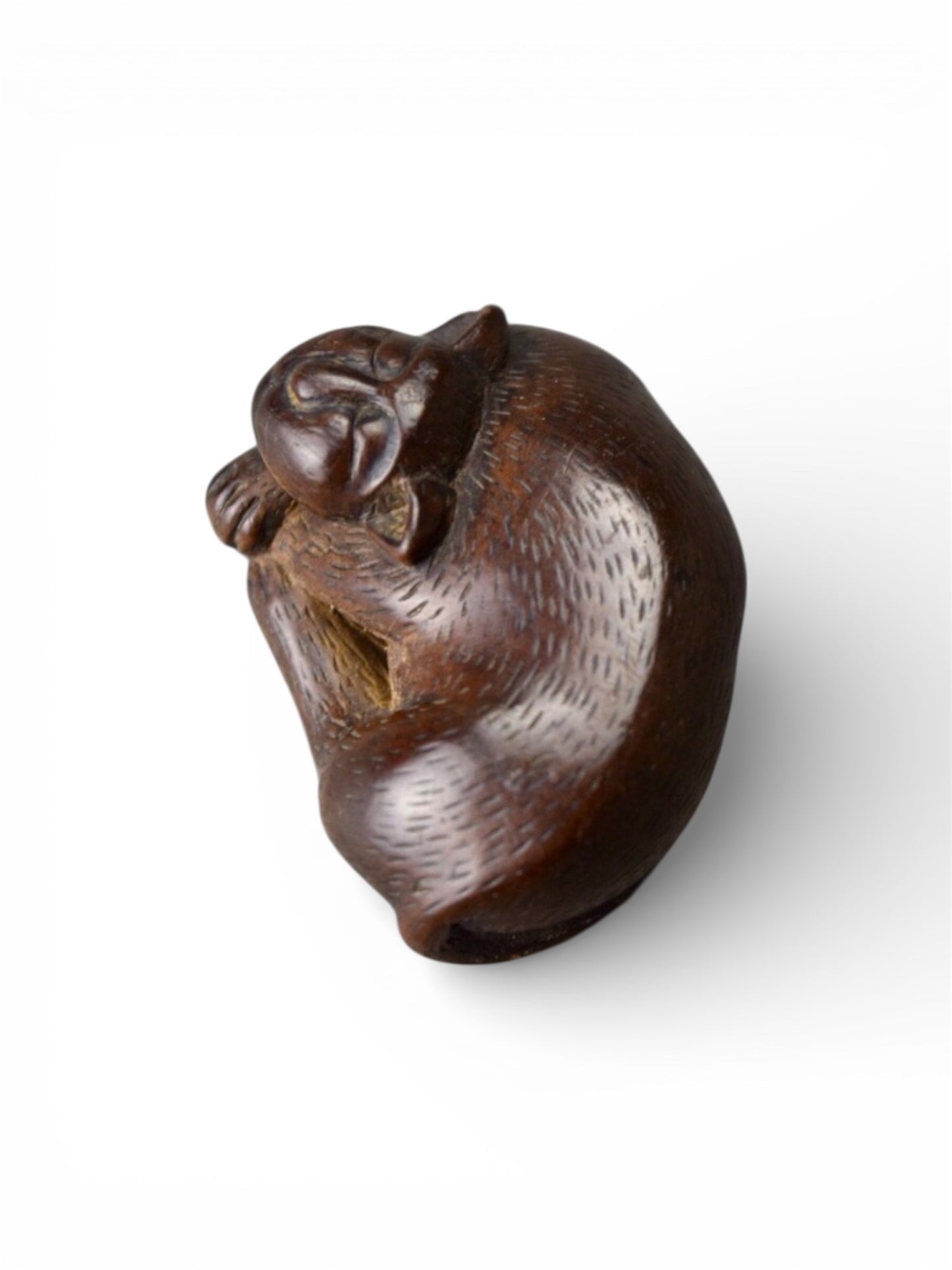A Japanese wood netsuke of a sleeping cat, Edo period