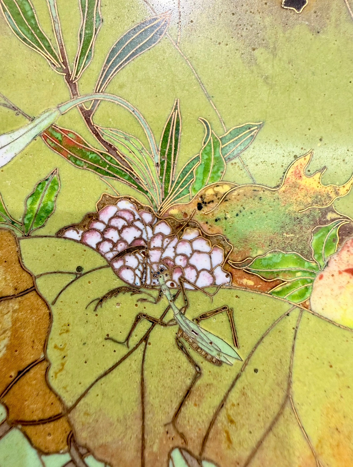 A FINE JAPANESE GOLD-WIRE CLOISONNÉ ENAMEL CHARGER WITH FRUIT, FLOWERS AND A MANTIS, MEIJI PERIOD