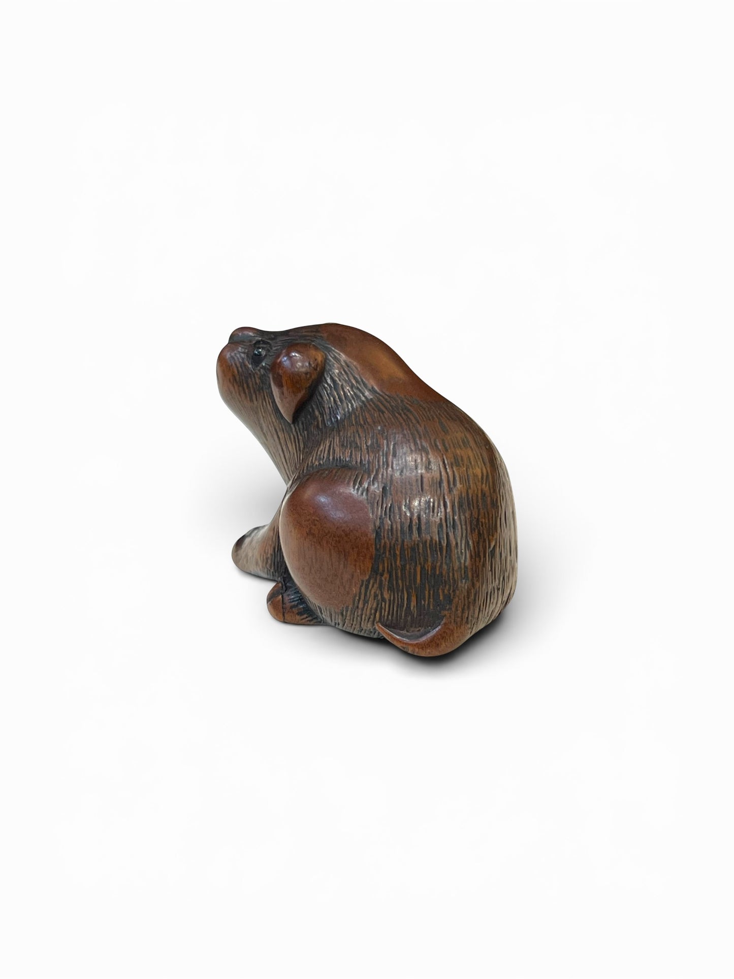 A Japanese Wood Netsuke of a Seated Puppy-Signed Masanao (正直)Japan, Late Edo to Early Meiji period,