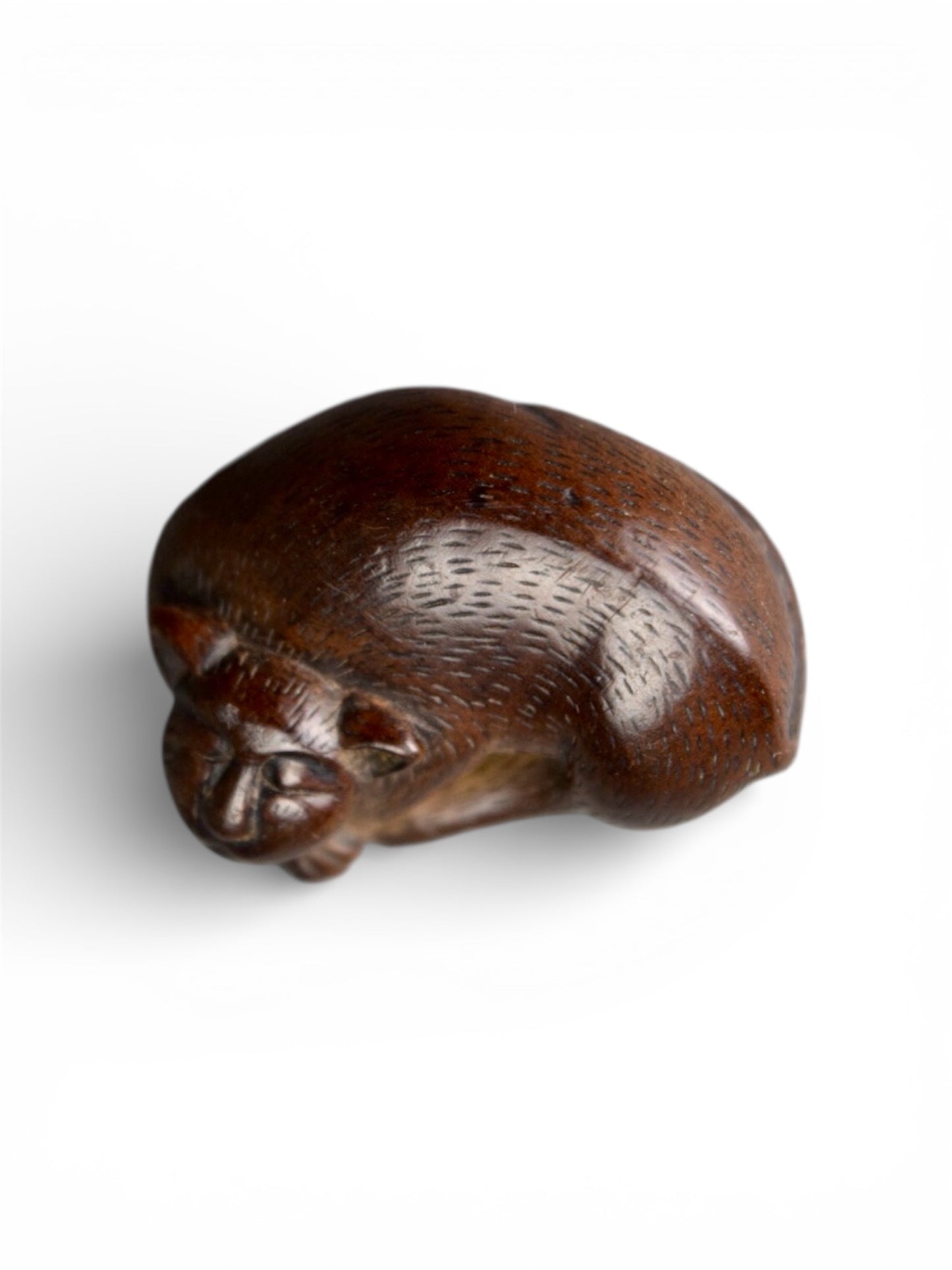 A Japanese wood netsuke of a sleeping cat, Edo period