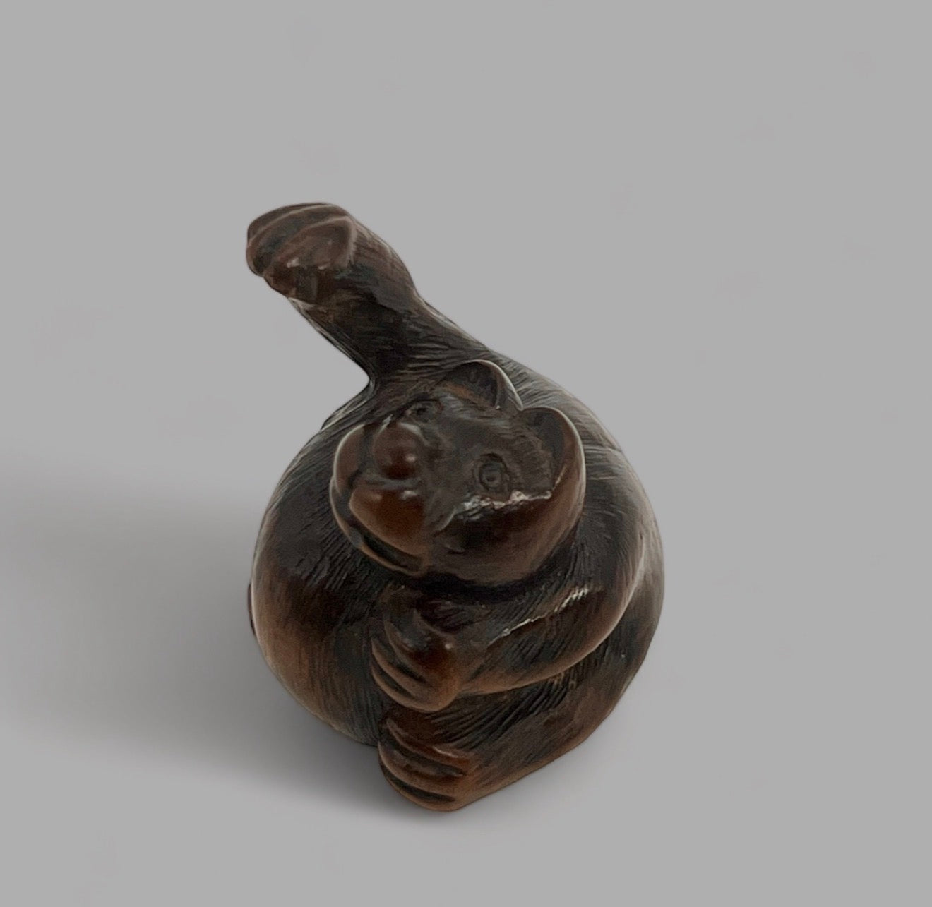 A wood netsuke of a tanuki. Signed Minko. Edo period
