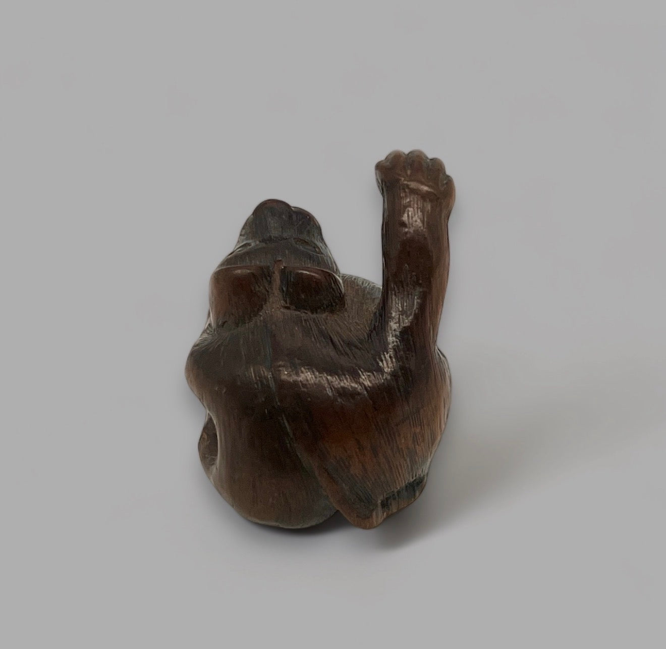 A wood netsuke of a tanuki. Signed Minko. Edo period