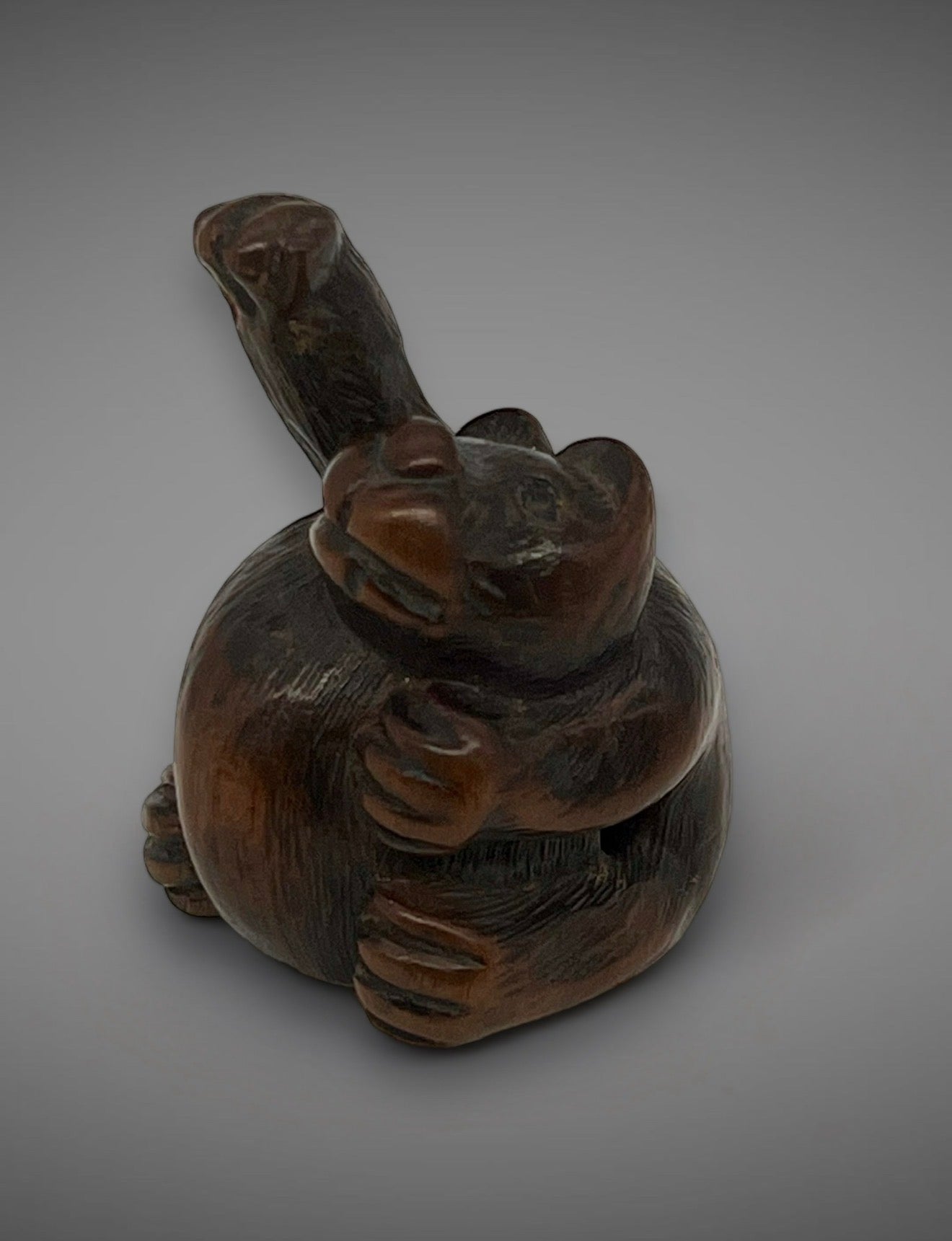 A wood netsuke of a tanuki. Signed Minko. Edo period