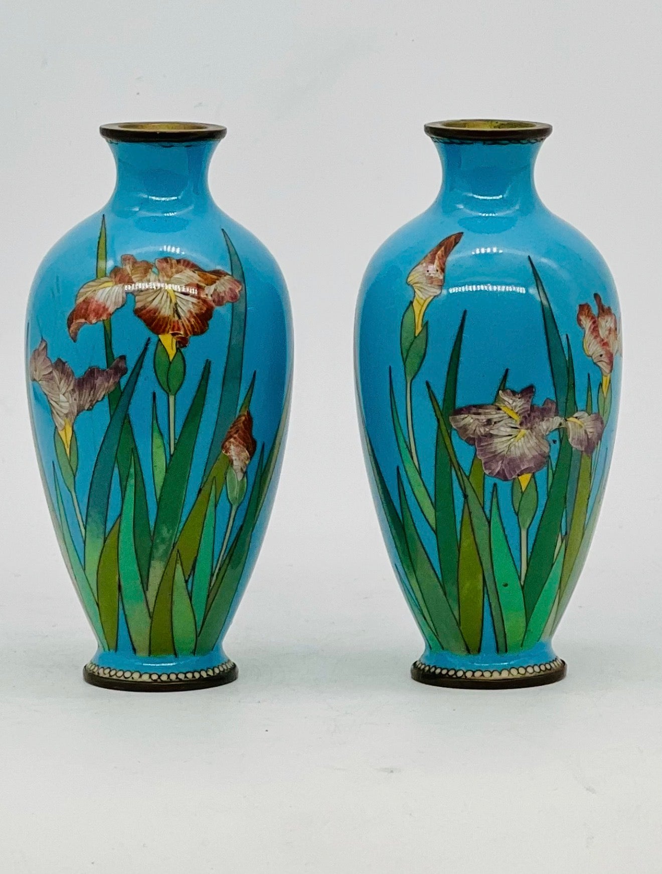 A Pair of Japanese Cloisonné Enamel Vases with Irises. Meiji period