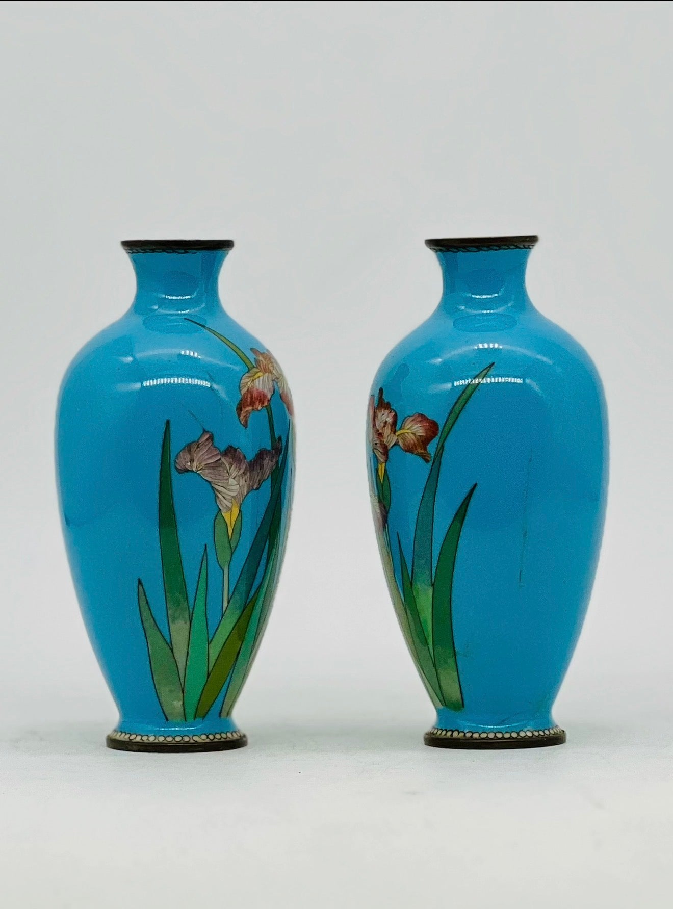 A Pair of Japanese Cloisonné Enamel Vases with Irises. Meiji period