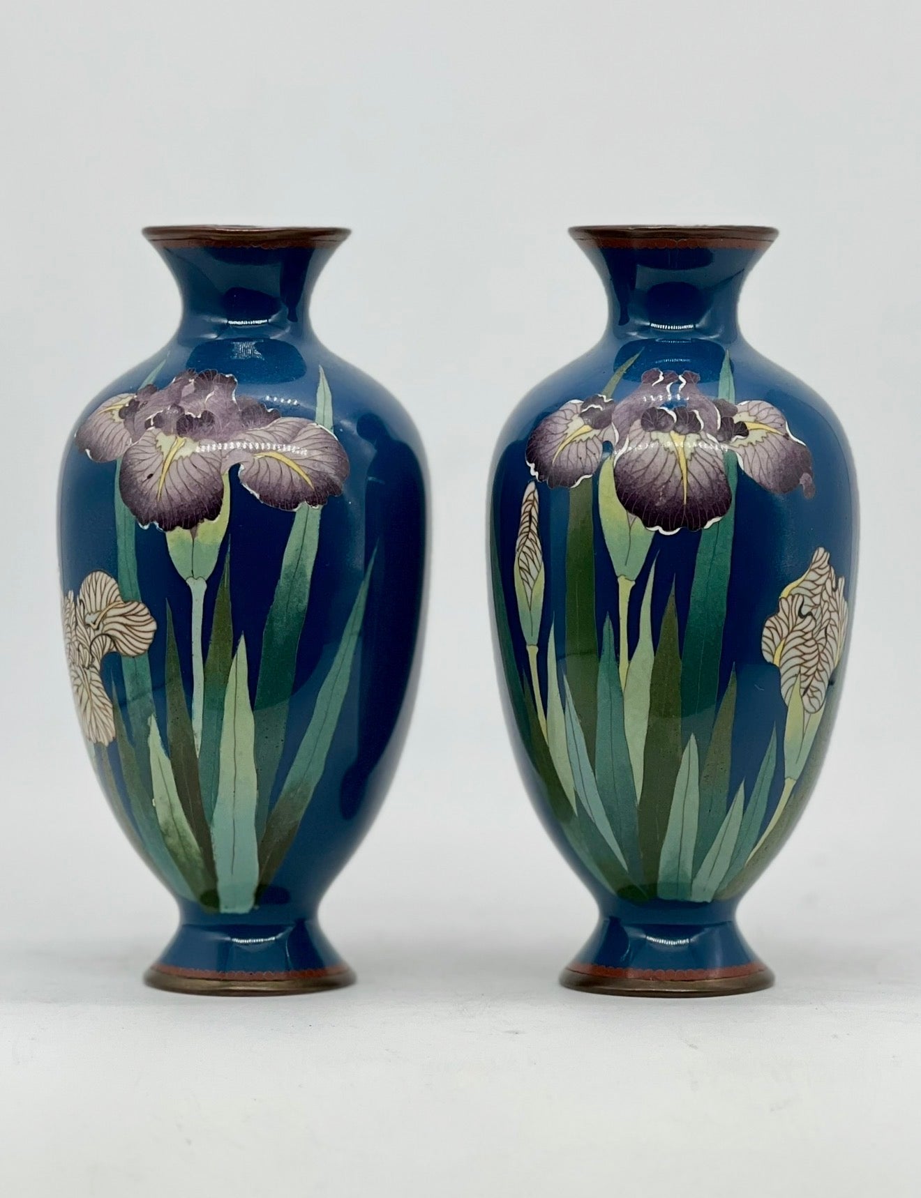 A Fine Pair of Japanese Cloisonné Enamel Vases with Irises Meiji period